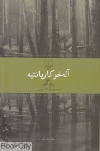 تصویر  رد گم