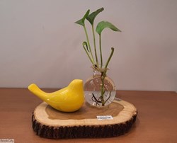 تصویر  گلدان مدل اناري