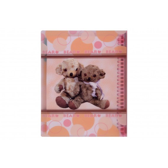 تصویر  دفتر كلاسور 100 برگ جيب‌دار Papco NB-606-P