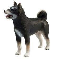 تصویر  Shiba Inu Black 387363