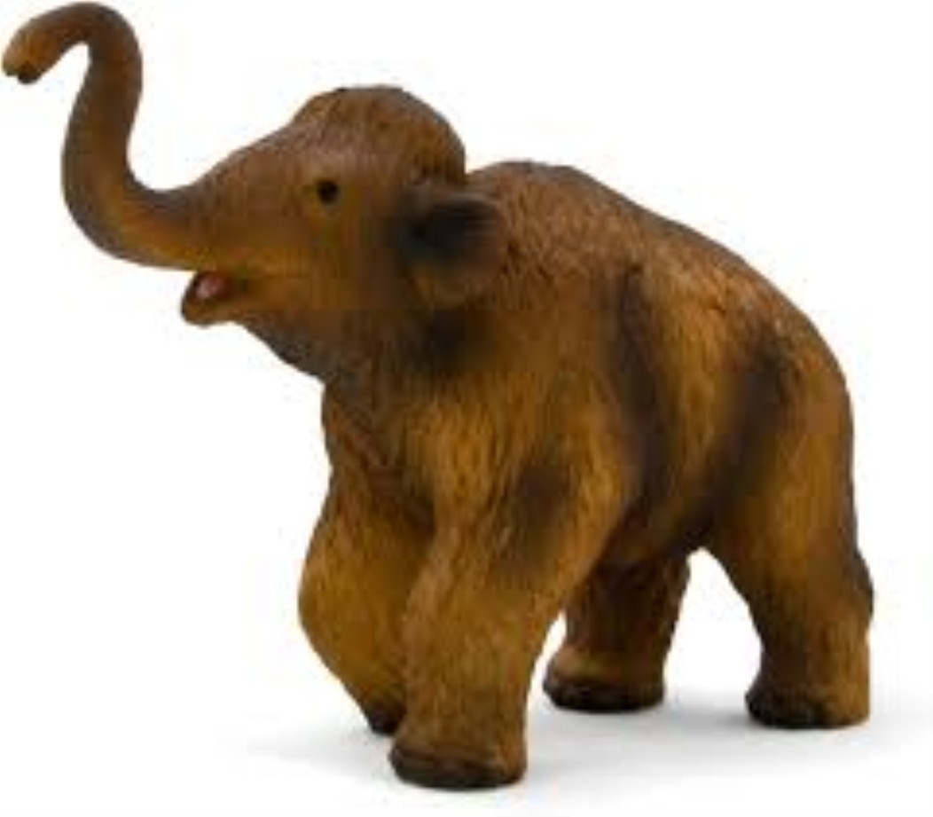 تصویر  Woolly Mammoth Calf 387050