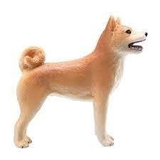 تصویر  Mojo Shiba Inu 387140