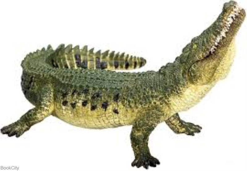 تصویر  Crocodile 387162