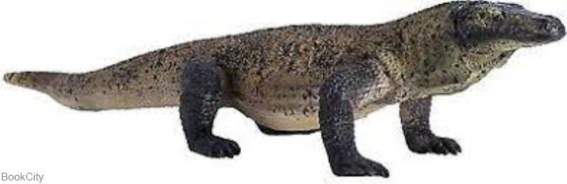 تصویر  381011 Komodo Dragon