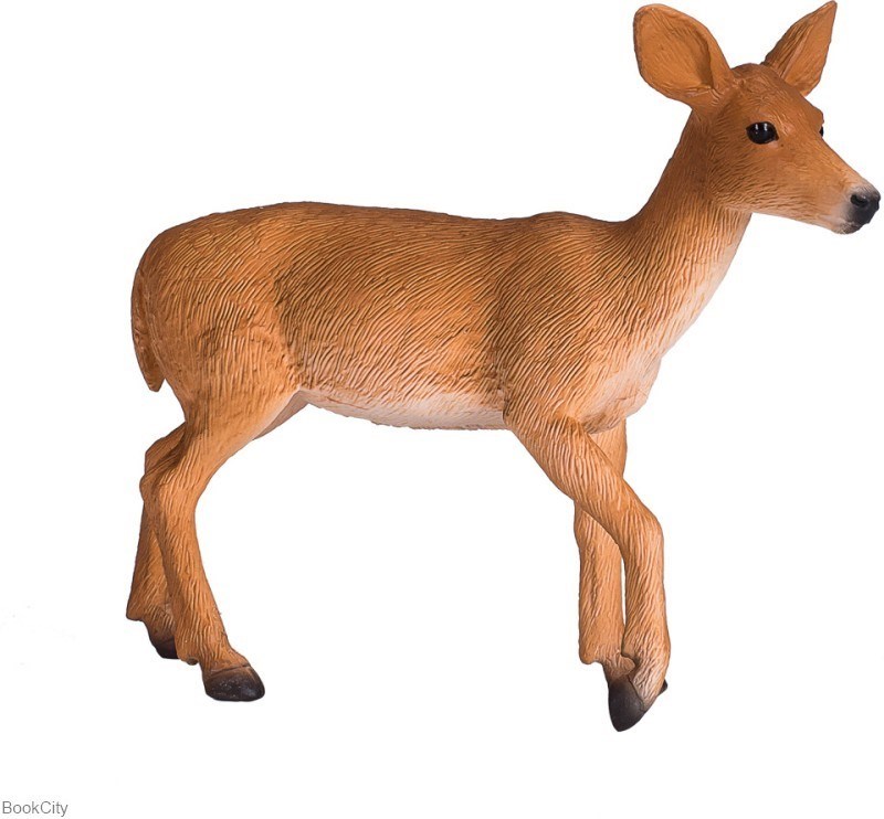 تصویر  White Tailed Deer Doe 387185
