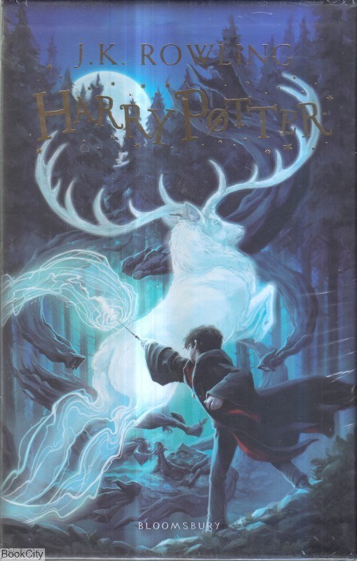 Harry Potter: The Magical Adventure Begins [Book]