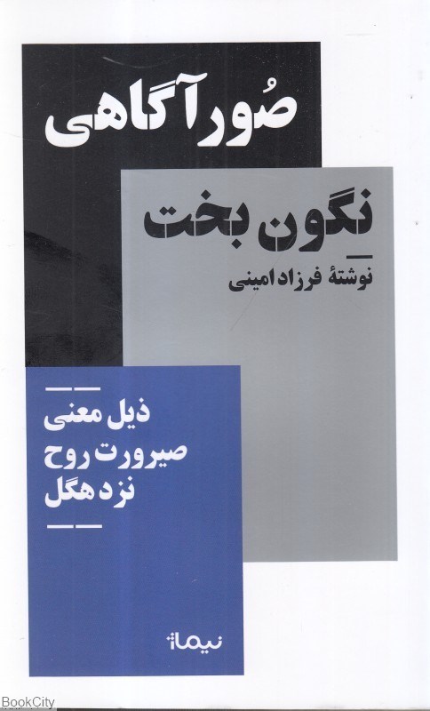 تصویر  صور‌آگاهي نگون‌بخت (ذيل معني صيرورت روح نزد هگل)