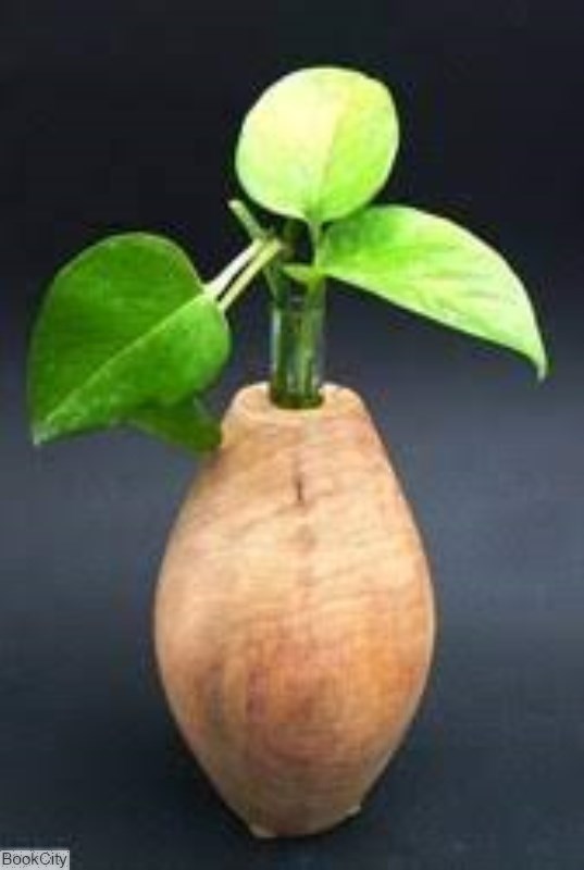 تصویر  گلدان طرح كوزه كد 16