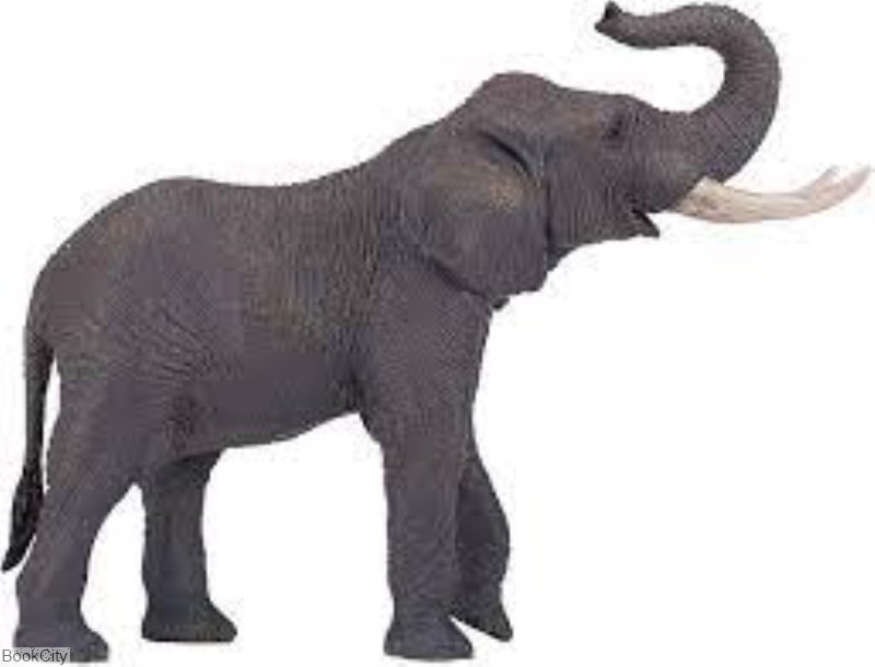 تصویر  African Elephant 381005 