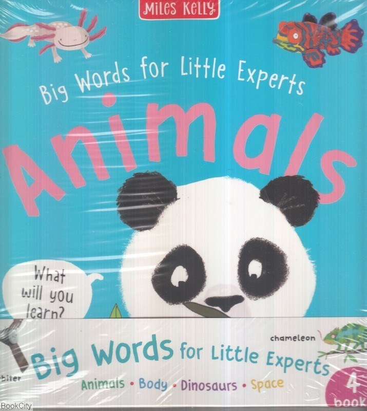 تصویر  Big Words for Little Experts 4books