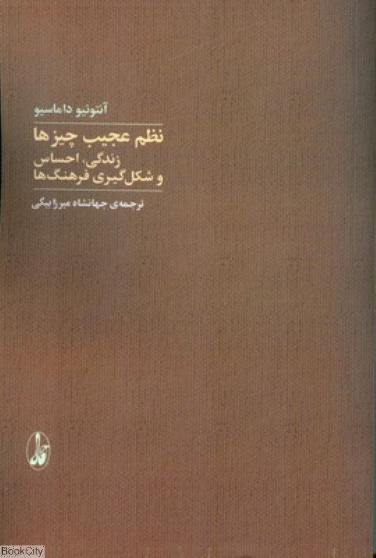 تصویر  نظم عجيب چير‌ها زندگي احساس و شكل‌گيري فرهنگ‌ها